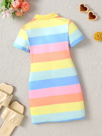 Polo Collar Dress